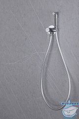 Встраиваемый смеситель с гигиеническим душем ABBER Wasser Kreis AF8125 (хром )