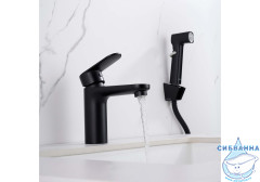 Смеситель с гигиеническим душем Aquatek Ника AQ1812MB (черный матовый)
