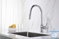 Смеситель для кухни Aquatek Европа AQ1384CR (хром)
