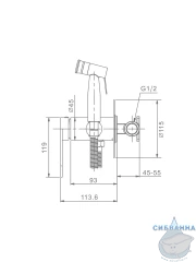Встраиваемый смеситель с гигиеническим душем Raglo R10.52.05 (сатин)