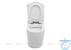 Унитаз напольный безободковый Aquanet Rimless Cetus 203342 с бачком и сиденьем Soft Close (микролифт)