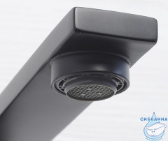 Смеситель для кухни WasserKRAFT Abens 2007 (черный матовый)