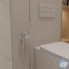 Встраиваемый смеситель с гигиеническим душем Oliveeka Y-Line OL-829909-CR (хром)