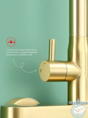 Душевая система Raglo 300 1 режим R10.24.03 (сатин золотой)