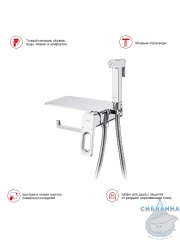 Встраиваемый смеситель с гигиеническим душем Raglo R51.55 (хром)