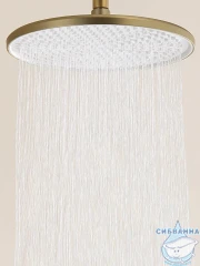 Душевая система Calypso CS2420-3 250 1 режим (золото матовое)