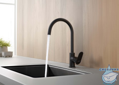 Смеситель для кухни Aquatek Оберон AQ1282MB (черный матовый)