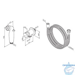Гигиеническая лейка Am.Pm F0202100  (хром)
