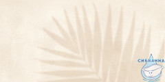GT246VG Настенная плита Dominica_GT Беж. 30x60 пальма_ 1\58,32