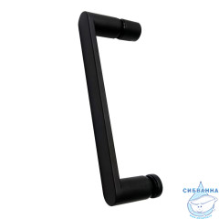 Дверь в нишу ABBER Sonnenstrand AG04100BS 100x195 профиль черный, стекло прозрачное