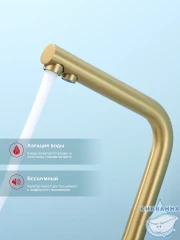 Смеситель для кухни Raglo R81.61.03 (сатин золотой)