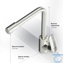 Смеситель для кухни AM.PM Like F8005711 (сатин)