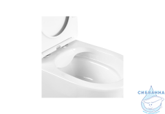 Унитаз напольный Aquatek Вега AQ2904-00 с бачком и сиденьем Soft Close (микролифт)