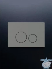 Кнопка смыва Charus Robusto FP.330.GNM.05 оружейная сталь