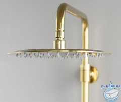 Душевая система Wasserkraft 300 1 режим  A17101 (золото)