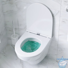 Унитаз подвесной AM.PM Inspire C501700WH (без сиденья) (белый глянцевый)