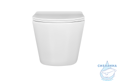 Унитаз подвесной безободковый Aquatek Вега AQ1904-00 (с сиденьем Soft Close (микролифт)