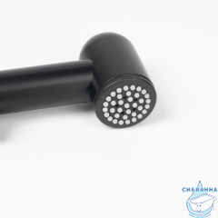 Лейка гигиеническая, Axes, черный, IDDIS, 978IDB00SM