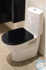 Унитаз напольный Roca Victoria Nord 342ND7000 (без бачка и сиденья)