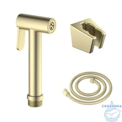 Гигиеническая лейка Aquatek AQ2054BG (золото шлифованное)