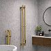 Полотенцесушитель электрический Calypso Dionysus 2 9х118 (брашированное золото)