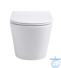 Унитаз подвесной безободковый TONI ARTI Forli  TA-1905 с сиденьем Soft Close (микролифт)