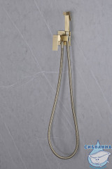 Встраиваемый смеситель с гигиеническим душем ABBER Daheim AF8226G (золото матовое)