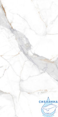 GT120606103PR Керамогранит Calacatta Imperial_GT Бел. 60x120 полир._ 1\46,08