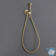 Встраиваемый смеситель с гигиеническим душем ABBER Wasser Kreis AF8125G (золото матовое)