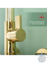 Душевая система Raglo 320 1 режим R50.24.23 (золото)