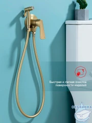 Встраиваемый смеситель с гигиеническим душем Raglo R07.52.03 (сатин золотой)