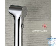 Встраиваемый смеситель Raglo R03.53 с гигиеническим душем (хром)