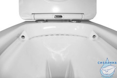 Унитаз подвесной безободковый Azario Терамо AZ-0053 SP (с сиденьем Soft Close (микролифт) )