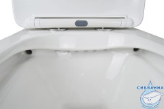 Унитаз напольный безободковый Azario Levanto AZ-1228A с бачком и сиденьем Soft Close (микролифт)