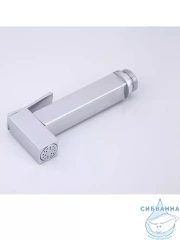 Гигиеническая душ Raglo R460.04 (хром)