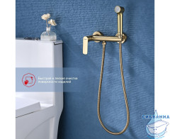 Смеситель Raglo R03.51.03 с гигиеническим душем (сатин золотой)