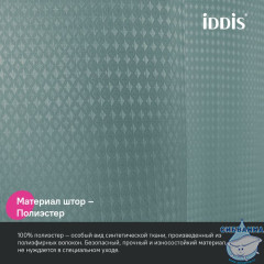 Штора для ванной, 200х180 см, Полиэстер, зеленый, IDDIS, DW05P18i11