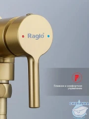 Встраиваемый смеситель с гигиеническим душем Raglo R20.54.03 (сатин золотой)