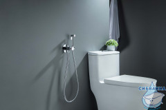 Смеситель с гигиеническим душем Aquatek Бетта AQ1023CR (хром)