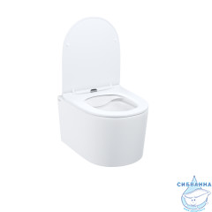 Унитаз подвесной безободковый Iddis Stone STORDSEi25 с сиденьем Soft Close (микролифт)