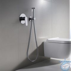 Встраиваемый смеситель с гигиеническим душем Aquatek Бетта AQ1119CR (хром )