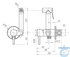 Встраиваемый смеситель с гигиеническим душем ALMAes Benito AL-859-08 (золото)