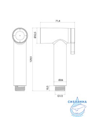 Гигиеническая лейка, хром глянцевый, Оптима Хоум (Optima Home), IDDIS, 0302FSCi20