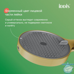 Лейка для душа, золото матовое, Aiger, IDDIS, AIG4FMGi18