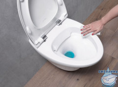 Инсталляция Jacob Delafon E29025-NF с кнопкой смыва E29026-01R в комплекте с унитазом Jacob Delafon Nouvelle Vague EDJ102-00 c сиденьем Soft close (микролифт) легкосъёмное E20068-00