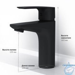 Смеситель для раковины AM.PM Gem F90A02122 (без донного клапана) (черный матовый)