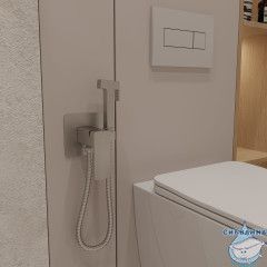 Встраиваемый смеситель с гигиеническим душем Oliveeka D-Line OL-829003-BN (никель)