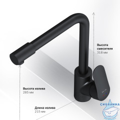 Смеситель для кухни AM.PM Like F8005722 (черный матовый)