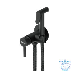 Встраиваемый смеситель с гигиеническим душем Damixa Option 217000000 (черный матовый)