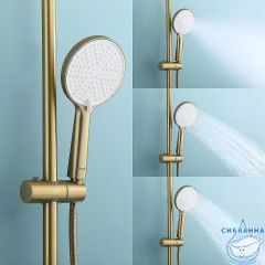 Душевая система Raglo 250 1 режим R20.26.03 (сатин золотой)